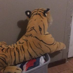 Meet your Posher, Casondra